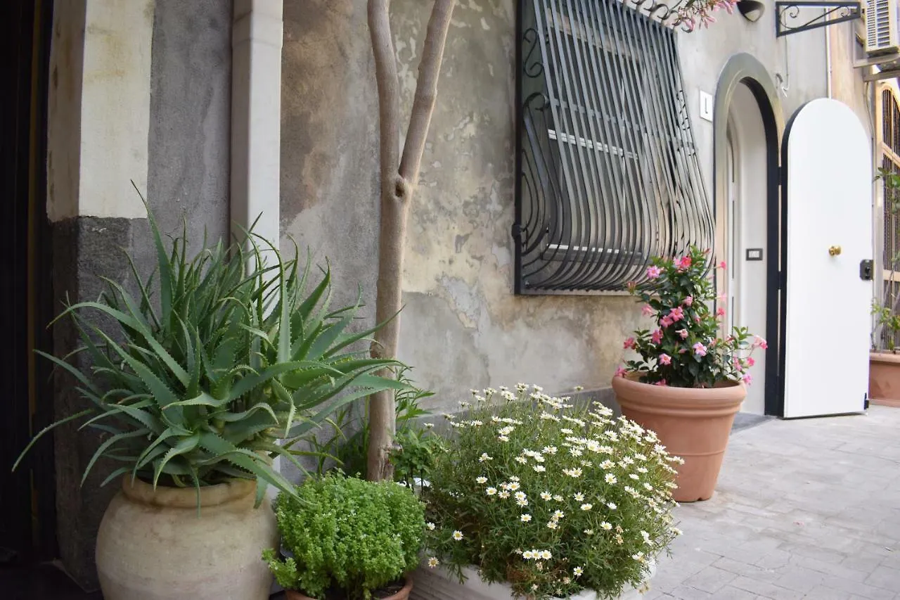 Camula Inn Apartament Catania